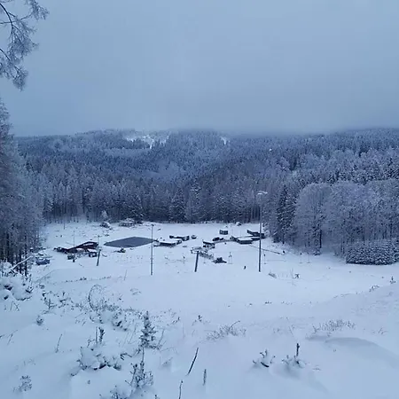 Semesterbostad Ski- Und Wanderurlaub Im Wald Ferienhaus Adlerblick *
