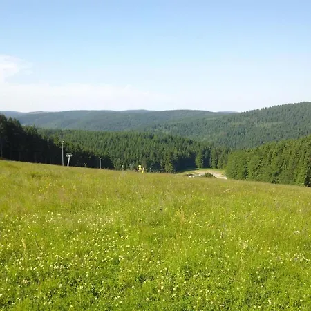 Ski- Und Wanderurlaub Im Wald Adlerblick