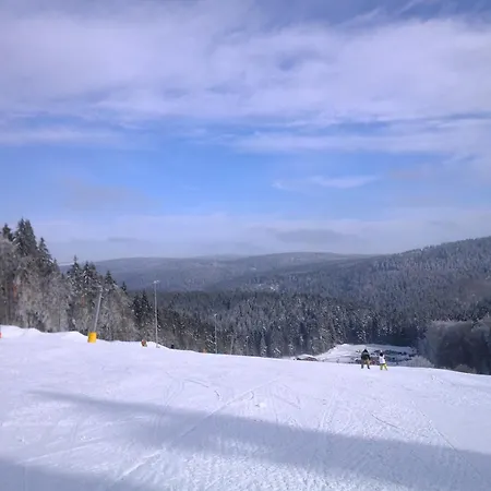 Ski- Und Wanderurlaub Im Wald Ferienhaus Adlerblick Semesterbostad