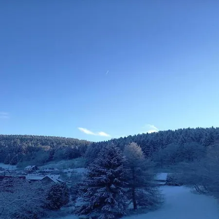 Ski- Und Wanderurlaub Im Wald Ferienhaus Adlerblick Semesterbostad *