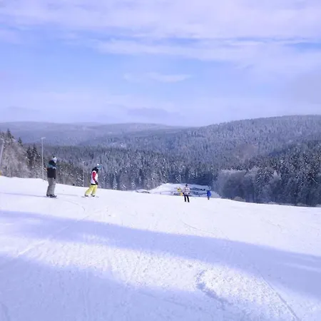 Ski- Und Wanderurlaub Im Wald Ferienhaus Adlerblick *