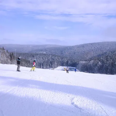 Ski- Und Wanderurlaub Im Wald Ferienhaus Adlerblick Schnett