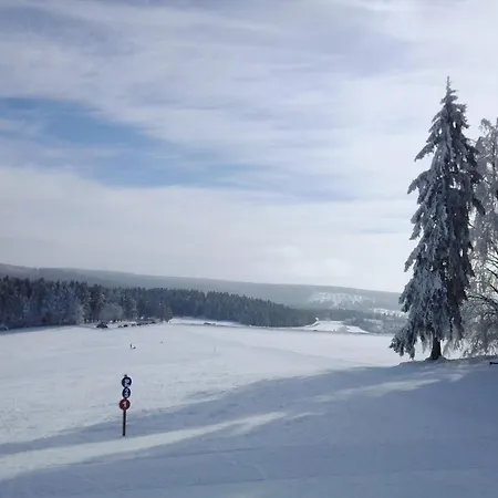 Ski- Und Wanderurlaub Im Wald Ferienhaus Adlerblick