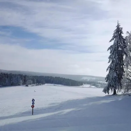 & Hiking Forest Semesterbostad