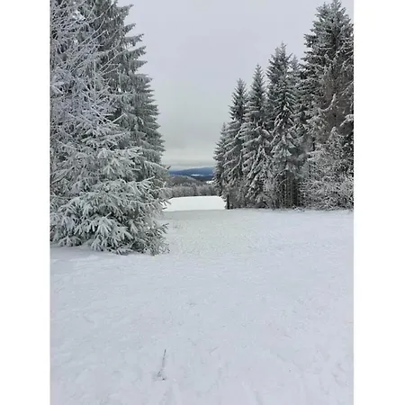 Ski- Und Wanderurlaub Im Wald Ferienhaus Adlerblick