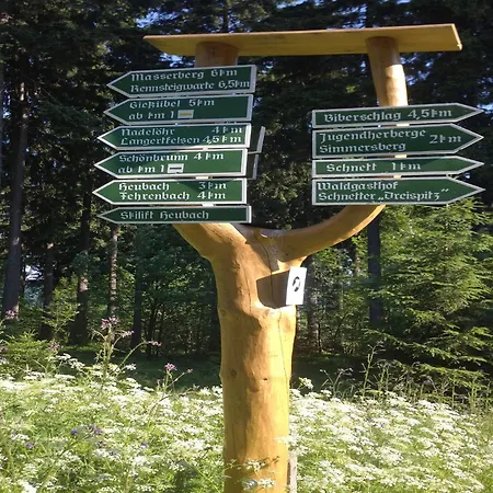 Ski- Und Wanderurlaub Im Wald Ferienhaus Adlerblick Semesterbostad *