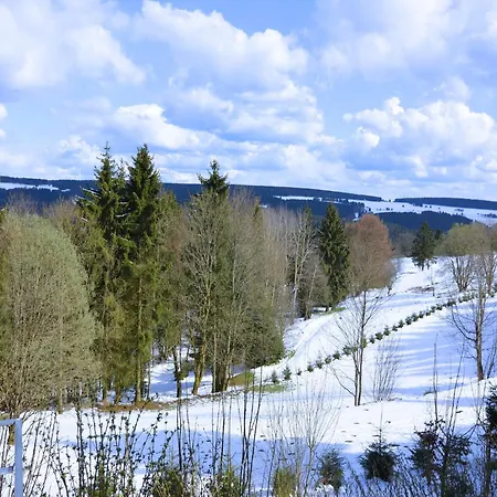 Semesterbostad Ski- Und Wanderurlaub Im Wald Ferienhaus Adlerblick Schnett