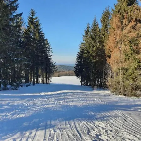 Ski- Und Wanderurlaub Im Wald Ferienhaus Adlerblick *