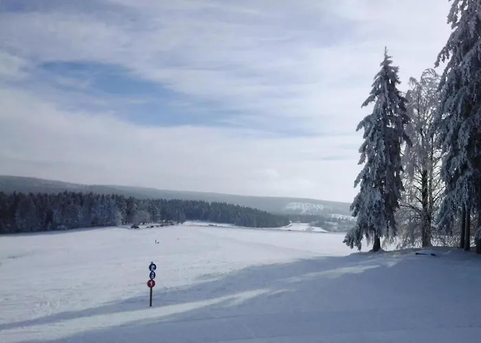 Tatil Evi & Hiking Forest Schnett