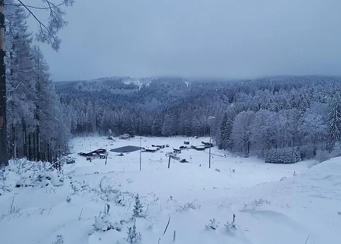 Tatil Evi & Hiking Forest *