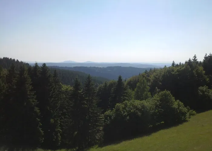 & Hiking Forest * Schnett