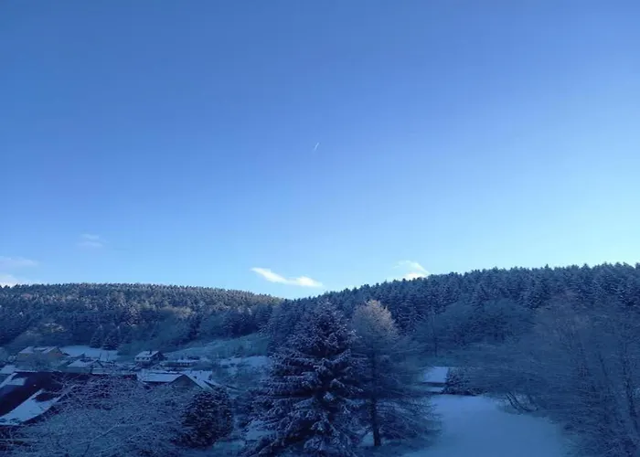 & Hiking Forest Σπίτι διακοπών *