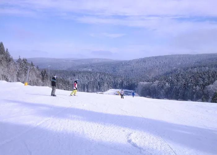 & Hiking Forest Schnett