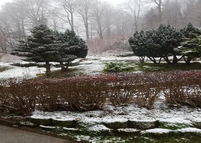 & Hiking Forest * Schnett