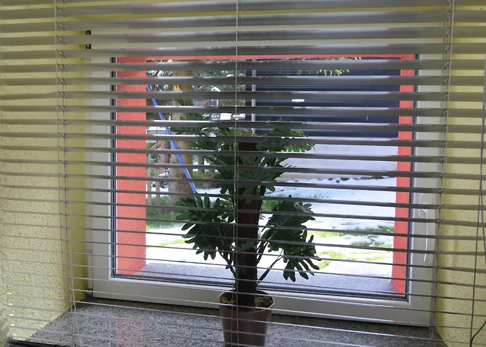 & Hiking Forest Tatil Evi